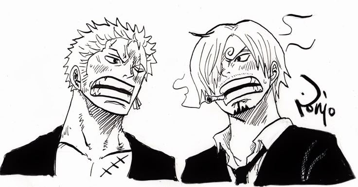 sanji zoro