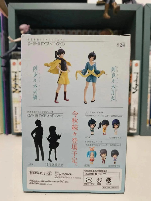 Figurine Tsukihi Araragi
: Nisemonogatari