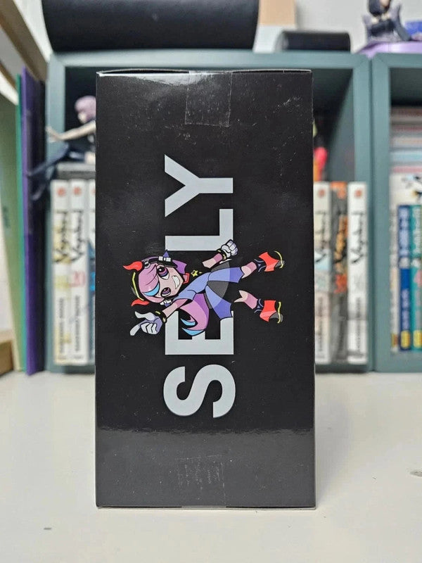 Figurine Selly : Crazy Raccoon